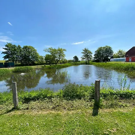 Classic Ferienhaus Schwan A10 - A47651 Holiday home